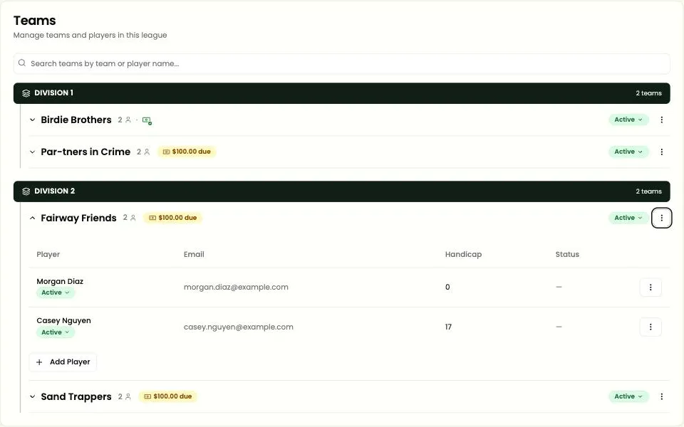 An open team showing its golfers, emails and handicaps